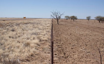 More investment is needed in protected area management More investment is needed in protected area management